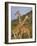 Giraffe, Sambura, Kenya, Africa-Robert Harding-Framed Photographic Print