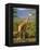 Giraffe, Samburu National Reserve, Kenya-Robert Harding-Framed Premier Image Canvas