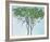 Giraffe Tree-Gaetan Caron-Framed Giclee Print