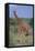 Giraffe Walking on the Savanna-DLILLC-Framed Premier Image Canvas