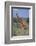 Giraffe Walking on the Savanna-DLILLC-Framed Photographic Print