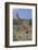 Giraffe Walking on the Savanna-DLILLC-Framed Photographic Print