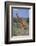 Giraffe Walking on the Savanna-DLILLC-Framed Photographic Print