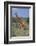 Giraffe Walking on the Savanna-DLILLC-Framed Photographic Print