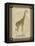 Giraffe with Border II-null-Framed Stretched Canvas