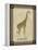 Giraffe with Border II-null-Framed Stretched Canvas