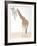 Giraffe-Caroline Schultz-Framed Collectable Print