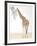 Giraffe-Caroline Schultz-Framed Collectable Print