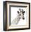 Giraffe-Philippe Debongnie-Framed Giclee Print