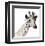 Giraffe-Philippe Debongnie-Framed Giclee Print