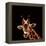 Giraffe-yuran-78-Framed Premier Image Canvas