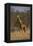 Giraffe-DLILLC-Framed Premier Image Canvas