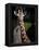 Giraffe-Gordon Semmens-Framed Premier Image Canvas