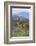 Giraffe-DLILLC-Framed Photographic Print