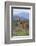 Giraffe-DLILLC-Framed Photographic Print