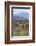 Giraffe-DLILLC-Framed Photographic Print