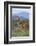 Giraffe-DLILLC-Framed Photographic Print