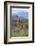 Giraffe-DLILLC-Framed Photographic Print