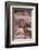 Giraffe-DLILLC-Framed Photographic Print