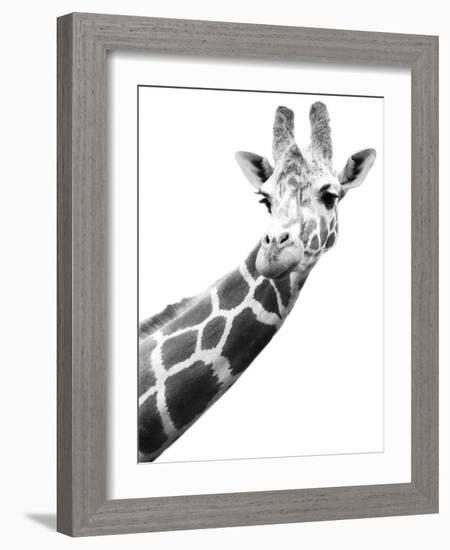 Giraffe-null-Framed Photographic Print