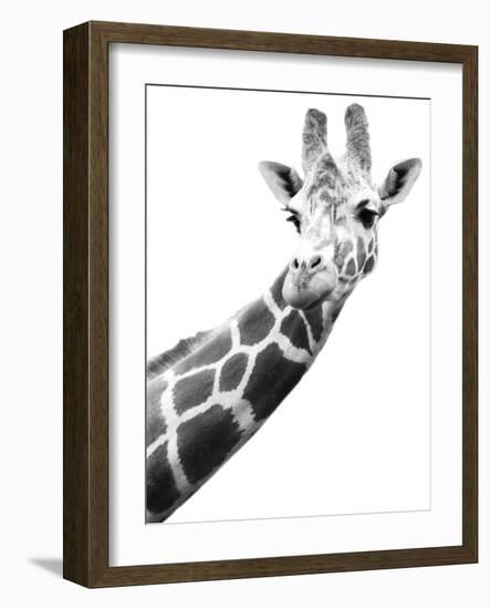 Giraffe-null-Framed Photographic Print