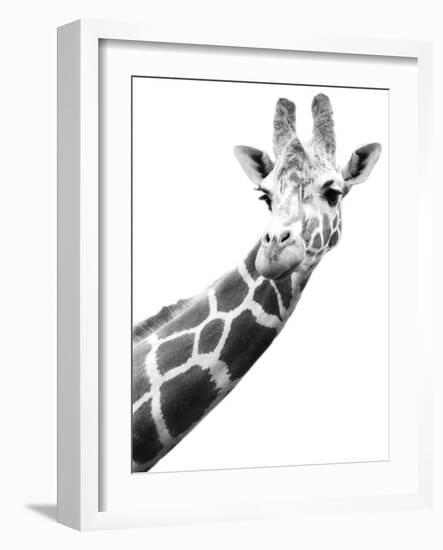 Giraffe-null-Framed Photographic Print