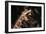 Giraffe-Gordon Semmens-Framed Photographic Print