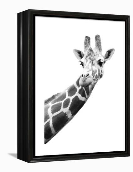 Giraffe-null-Framed Stretched Canvas