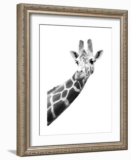 Giraffe-null-Framed Art Print