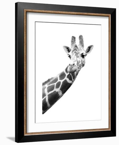 Giraffe-null-Framed Art Print