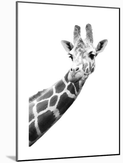 Giraffe-null-Mounted Art Print