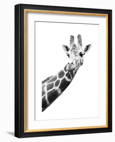 Giraffe-null-Framed Art Print