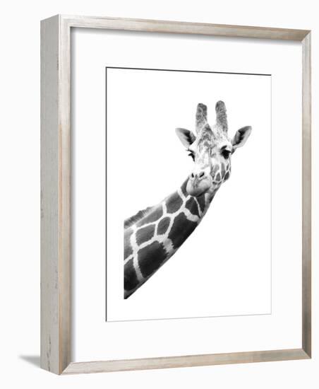 Giraffe-null-Framed Art Print