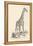 Giraffe-null-Framed Premier Image Canvas