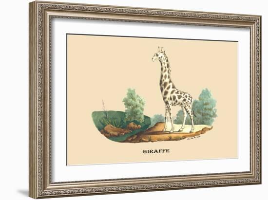 Giraffe-E.f. Noel-Framed Art Print