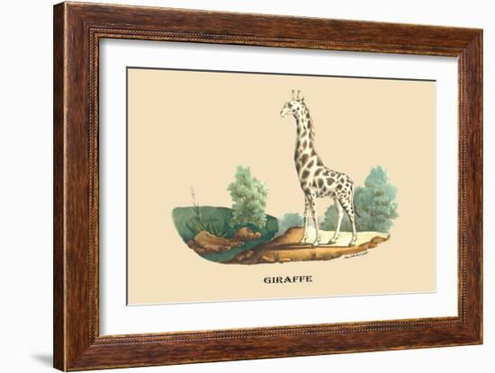 Giraffe-E.f. Noel-Framed Art Print