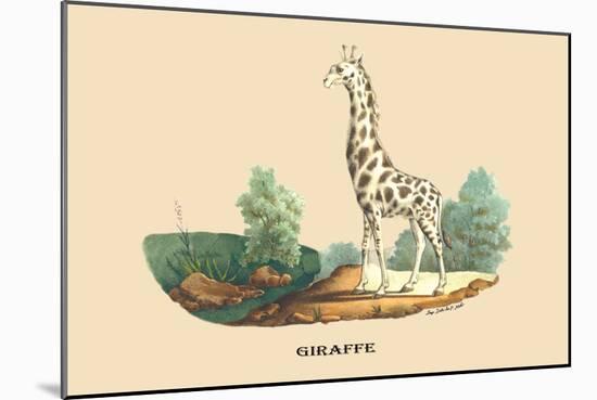 Giraffe-E.f. Noel-Mounted Art Print