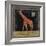 Giraffe-Lisa Ven Vertloh-Framed Art Print