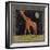 Giraffe-Lisa Ven Vertloh-Framed Art Print