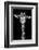 Giraffe-Incado-Framed Photographic Print