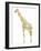 Giraffe-Louise Tate-Framed Giclee Print