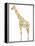 Giraffe-Louise Tate-Framed Premier Image Canvas