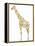 Giraffe-Louise Tate-Framed Premier Image Canvas