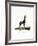 Giraffe-null-Framed Giclee Print