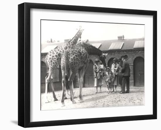 Giraffes and Visitors at Zsl London Zoo, from July 1926-Frederick William Bond-Framed Photographic Print