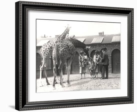Giraffes and Visitors at Zsl London Zoo, from July 1926-Frederick William Bond-Framed Photographic Print
