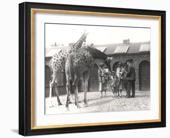 Giraffes and Visitors at Zsl London Zoo, from July 1926-Frederick William Bond-Framed Photographic Print