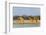 Giraffes by the river. Etosha National Park, Oshikoto Region, Namibia-Keren Su-Framed Photographic Print