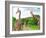 Giraffes in Kruger Park South Africa-jaroslava V-Framed Photographic Print