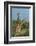 Giraffes, Marataba, Marakele National Park-Ben Pipe-Framed Photographic Print